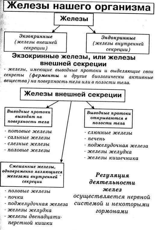 Смешанные секреции пример. Железы внутренней внешней и смешанной секреции таблица 8 класс. железы внутренней и внешней секреции таблица. железы человека таблица внешней внутренней смешанной. железы внешней и внутренней секреции функции таблица.