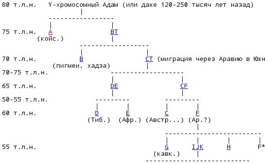 Днк на родословную. Днк на родословную