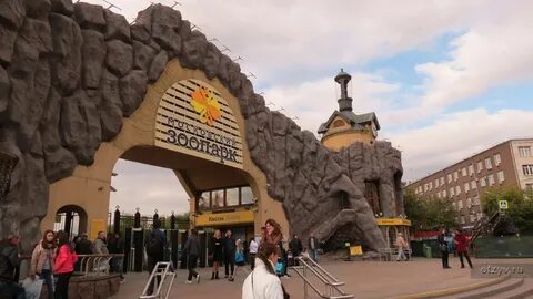 Сколько видов в московском зоопарке