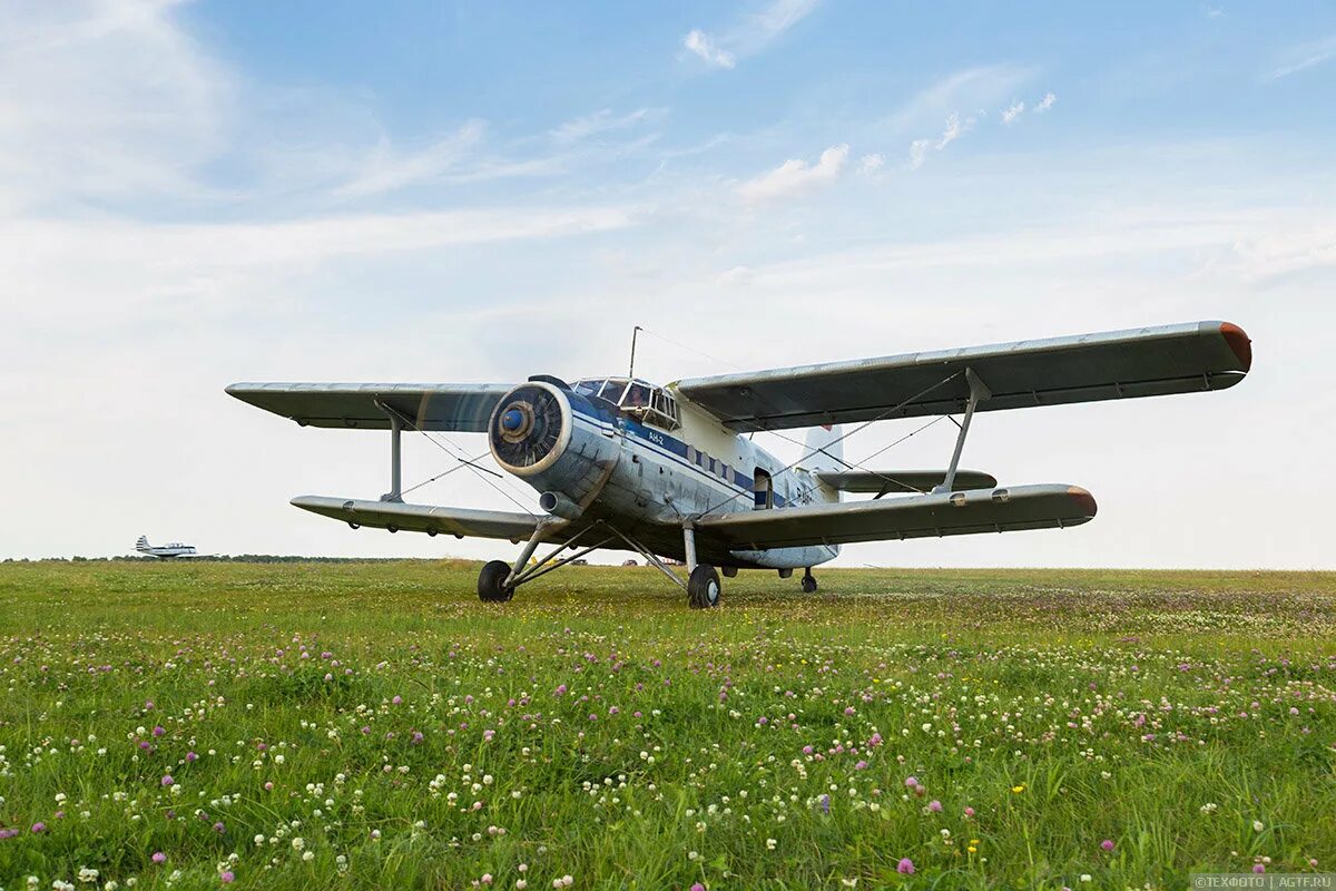 Ан 2. Ан 2 бомбардировщик. Самолет ан кукурузник. Кукурузник ан 2. Самолёт моноплан ан-2.