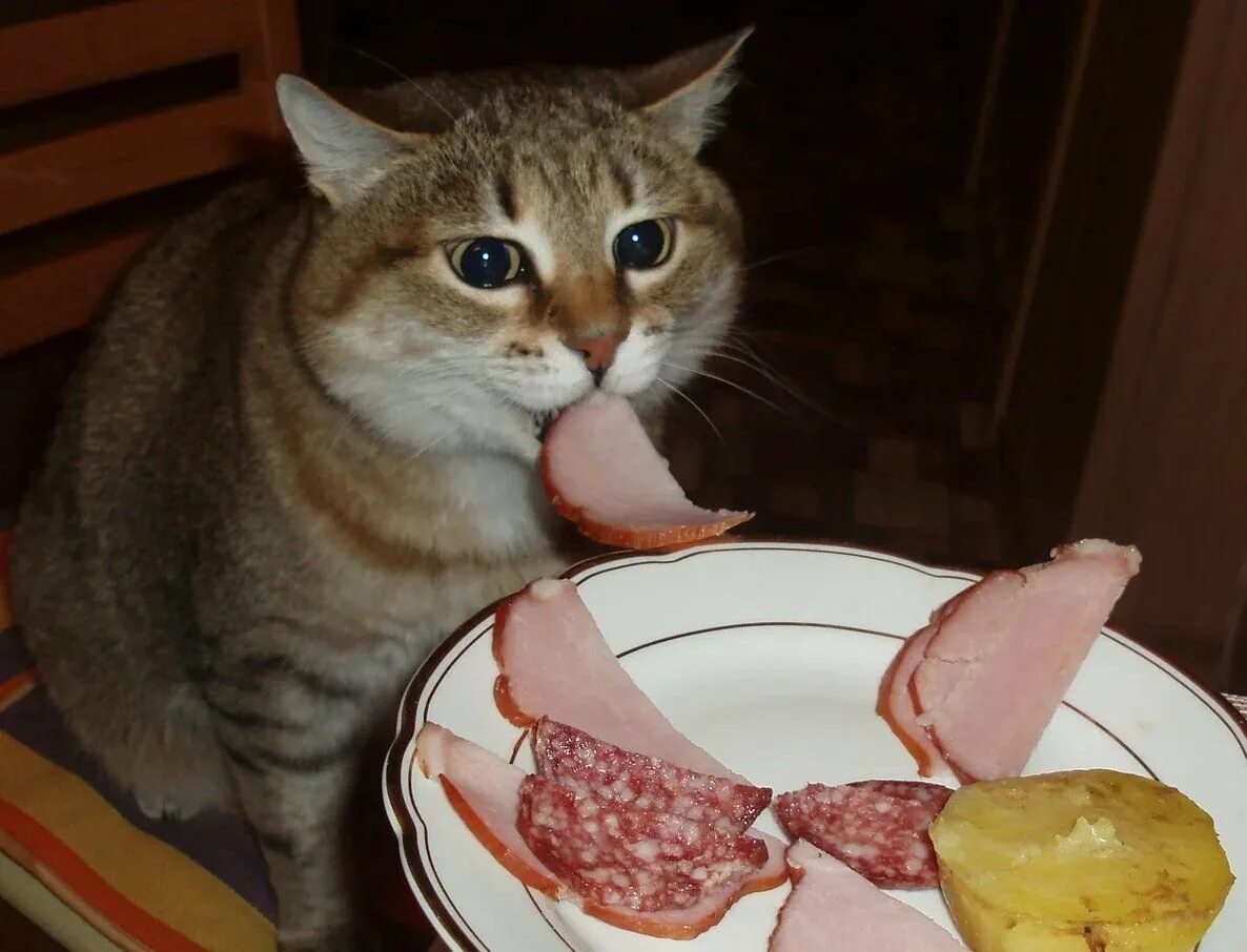 Because you have a little. Вкусно и грустно. Грустно но вкусно Мем с котом. Плачущий кот. Котик ест и плачет.