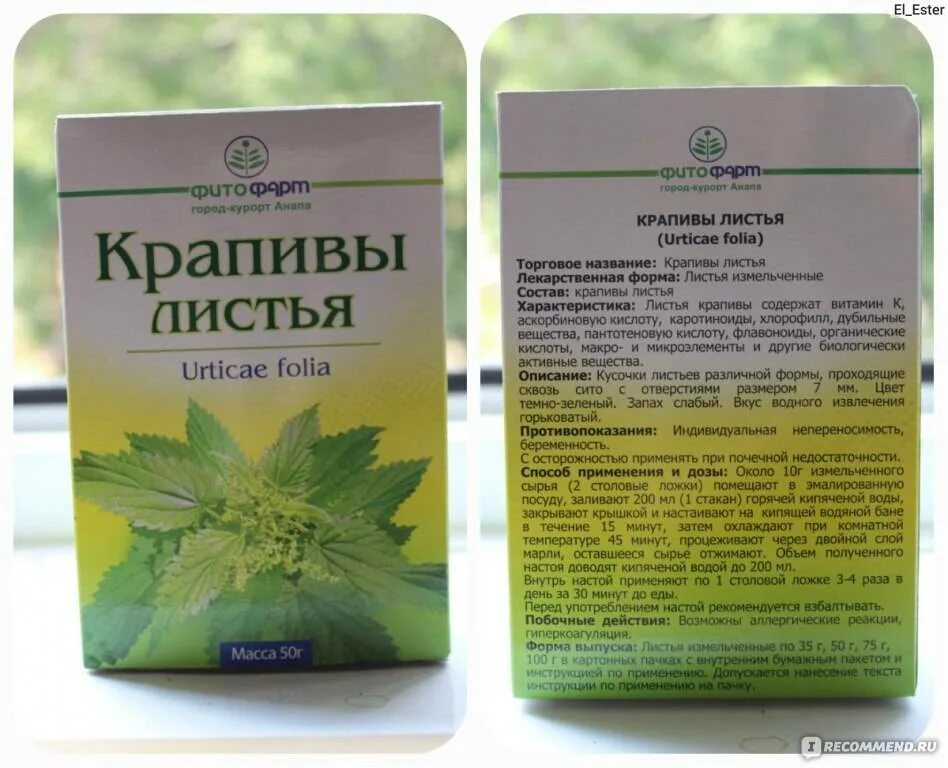 Настой листьев крапивы. Крапива для волос. отвар крапивы для волос. настой из крапивы для волос.
