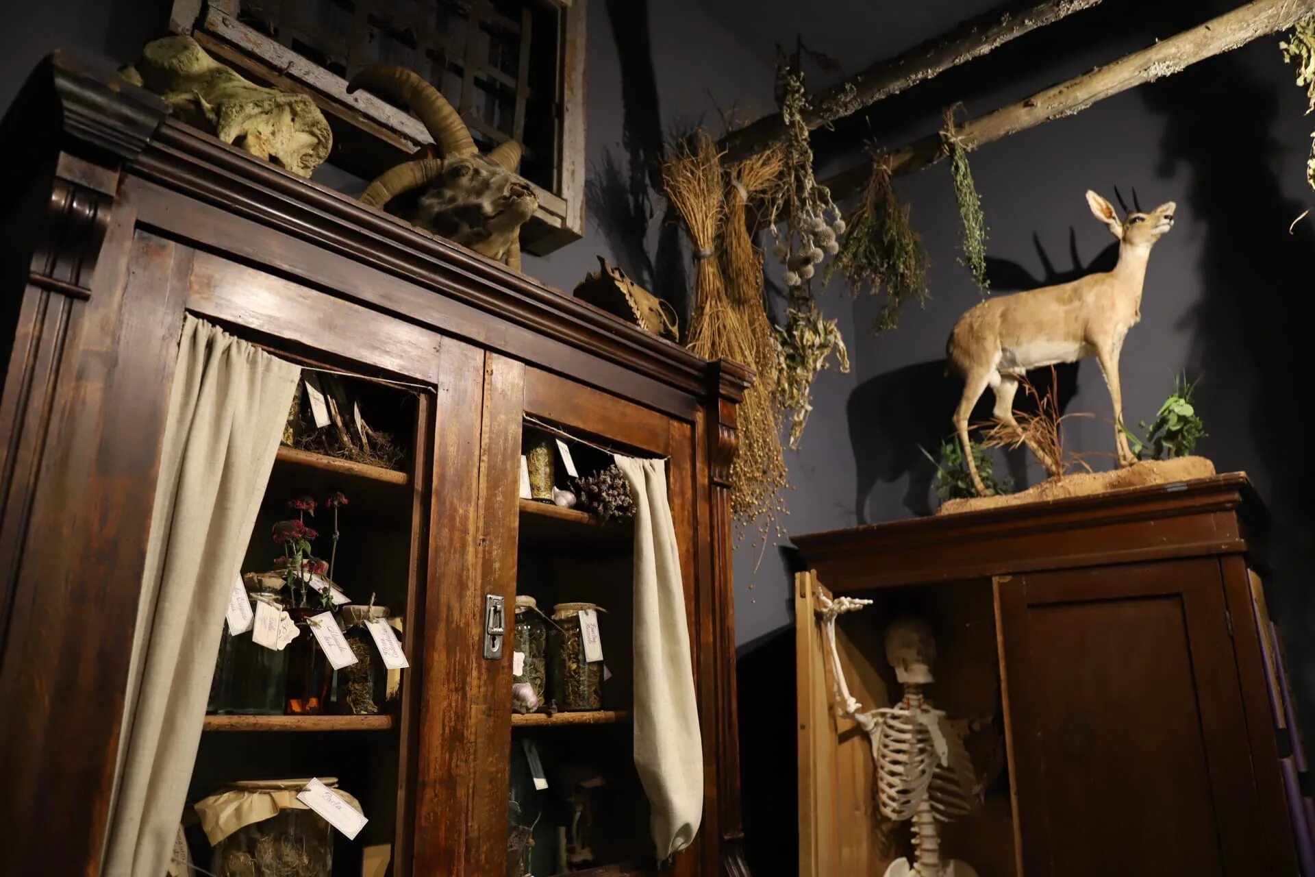 Череповец аптека 1. Музей "аптека" музей "аптека" череповец. Аптека музей на советском череповец. Музей аптеки череповец. Музей "аптека" музей "аптека" череповец.