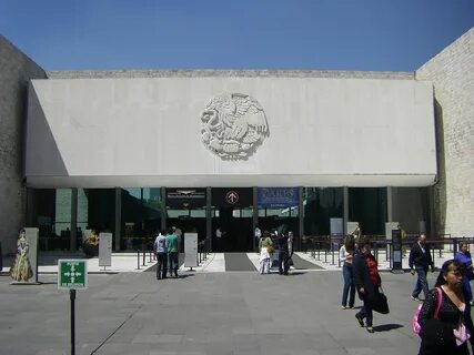 Museum anthropology