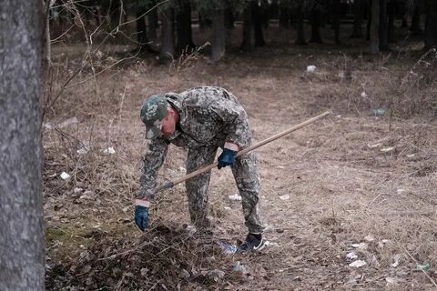 Погода в лесок