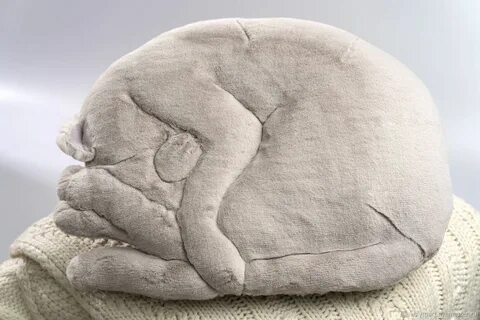 Подушки спящий кот
