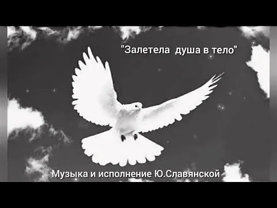 Залетела душа в тело. Залетела душа в тело настрадалась. Залетела душа в тело Автор. Залетевшая душа. Песня душу залечу