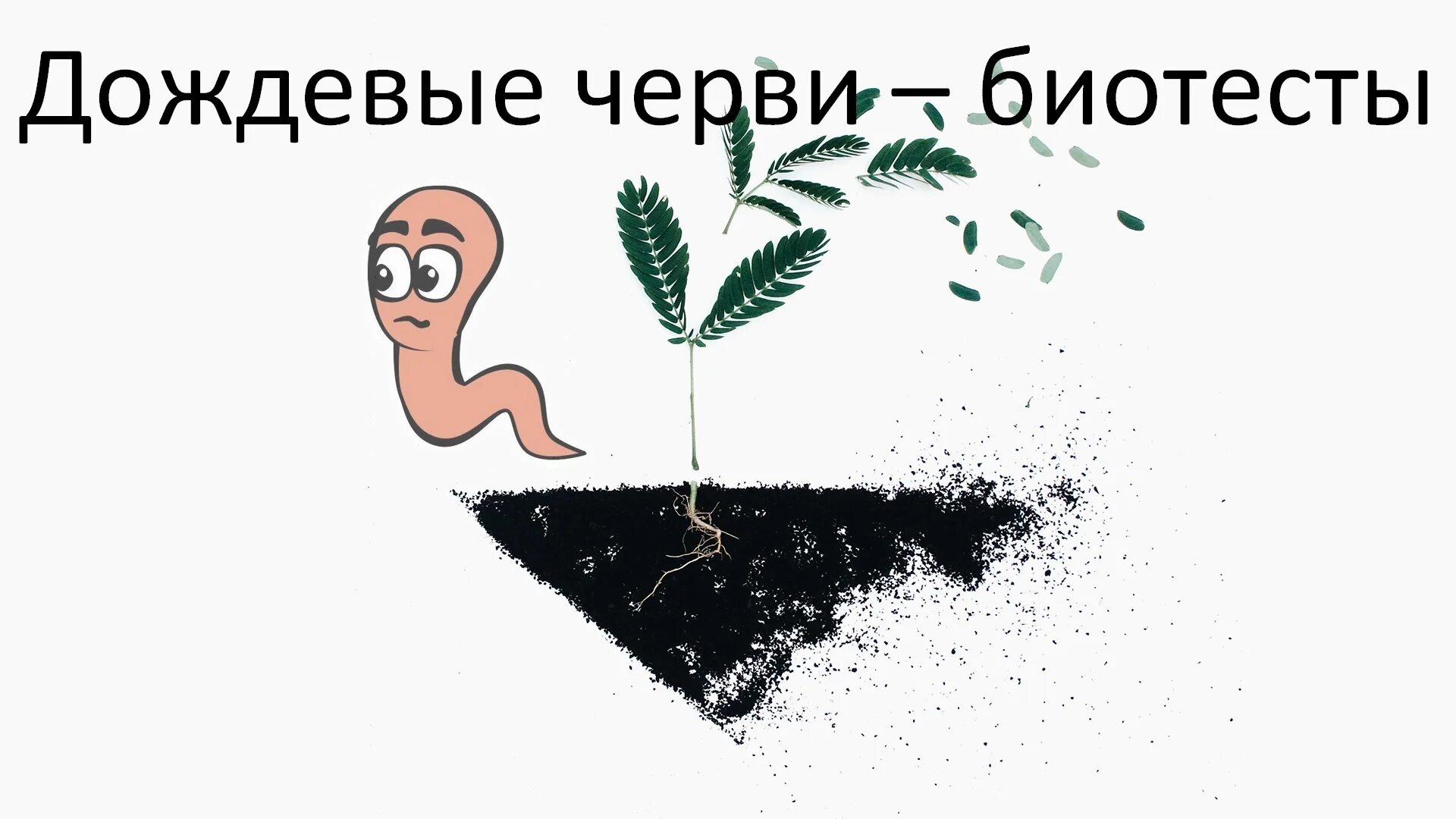 Зараза дождевые. Дождевые черви биотесты. плодородие рисунок. дождевые черви пестициды. берегите дождевых червей.