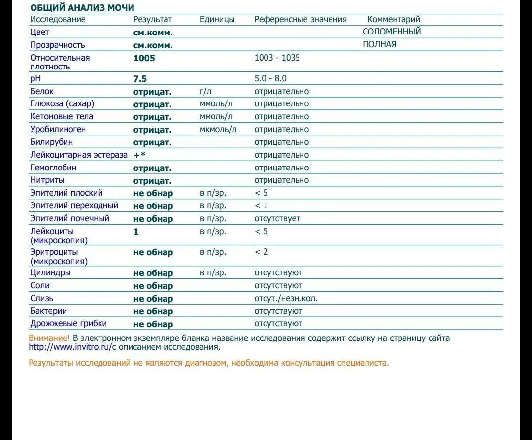 Сильно повышены лейкоциты в моче. Норма лейкоцитов моче ребенка кл/мкл. Лейкоциты эстераза в моче норма. Моча анализ лейкоциты норма у женщин. Анализ мочи лейкоциты у ребенка 1 месяц норма.