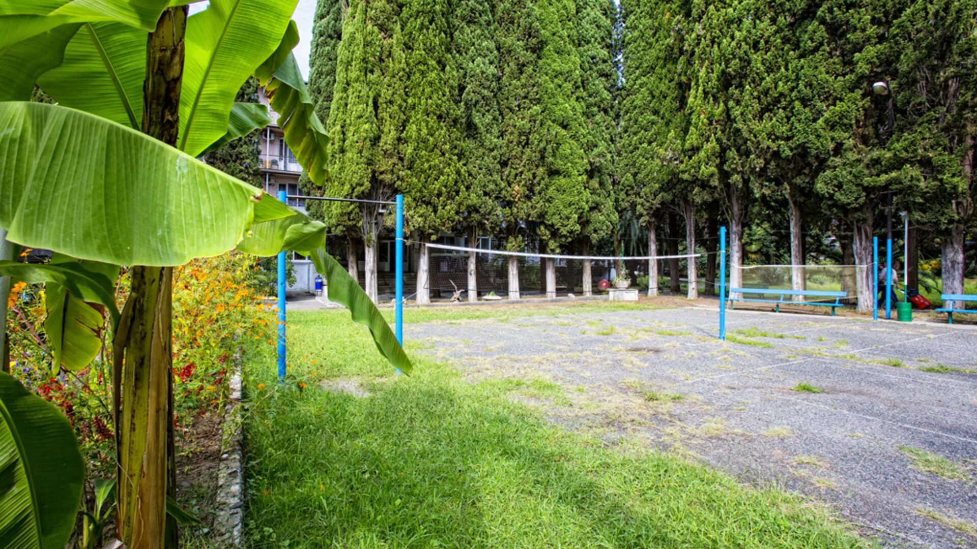 Дом челюскинцев абхазия. Дом челюскинцев абхазия. Отель челюскинцев абхазия гагра. Дом челюскинцев абхазия. Санаторий имени челюскинцев гагра.