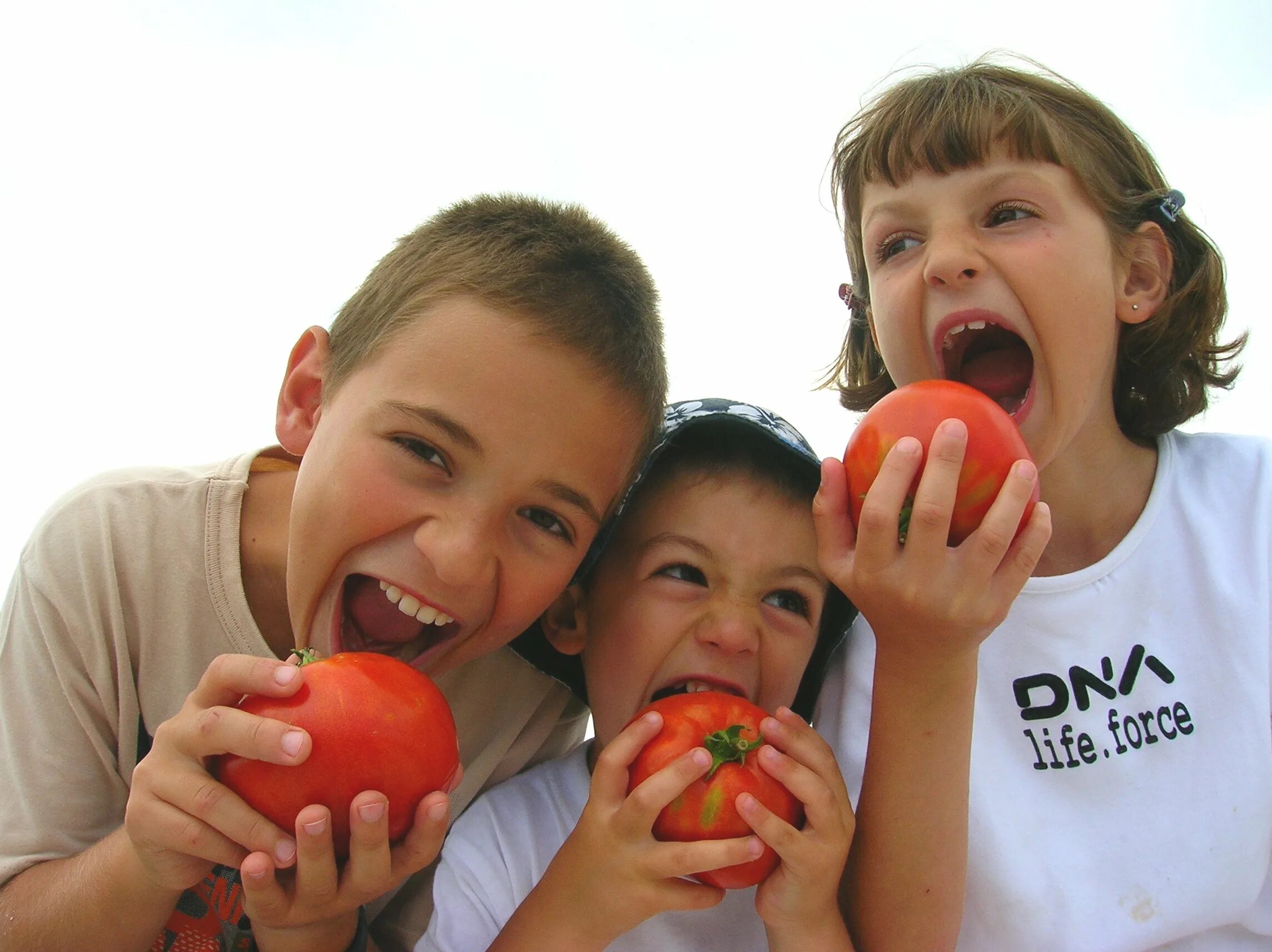 I don t eat tomatoes i