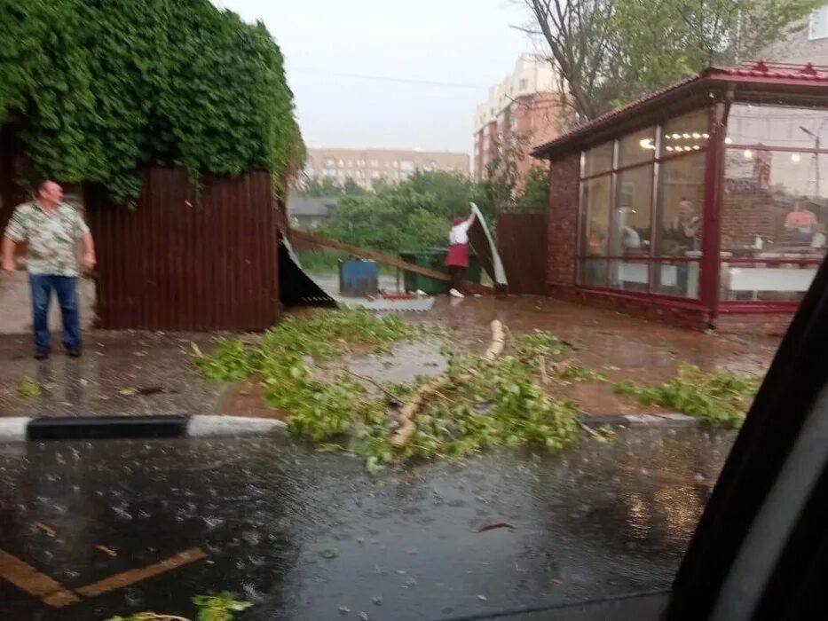 Гроза в рязани. Рязань ворошиловка 2022 упало дерево. Фото поваленных деревьев от урагана. Касимов упало дерево 2022г. Комплекс ураган рязань.