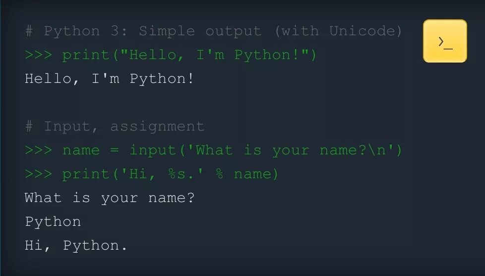 Python cookie. Python 3 языки программирования. Питон 3 программирование. Input в питоне. Питон программирование язык программирования.