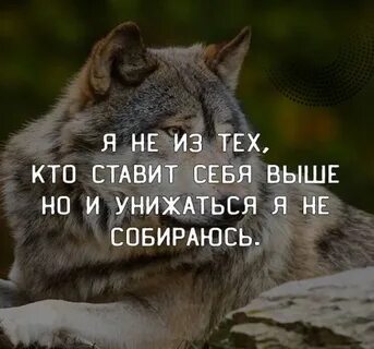 Унижаться