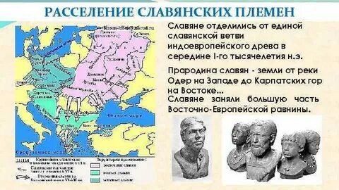 По какому признаку образуется племя