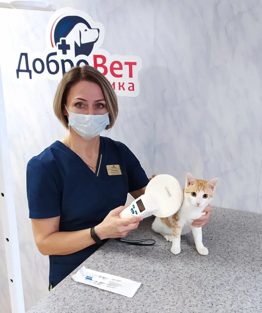 Ветклиника добровет телефон. С праздником ветеринара. Ветклиника добровет телефон. Ветклиника добровет телефон. Ветклиника добровет телефон.