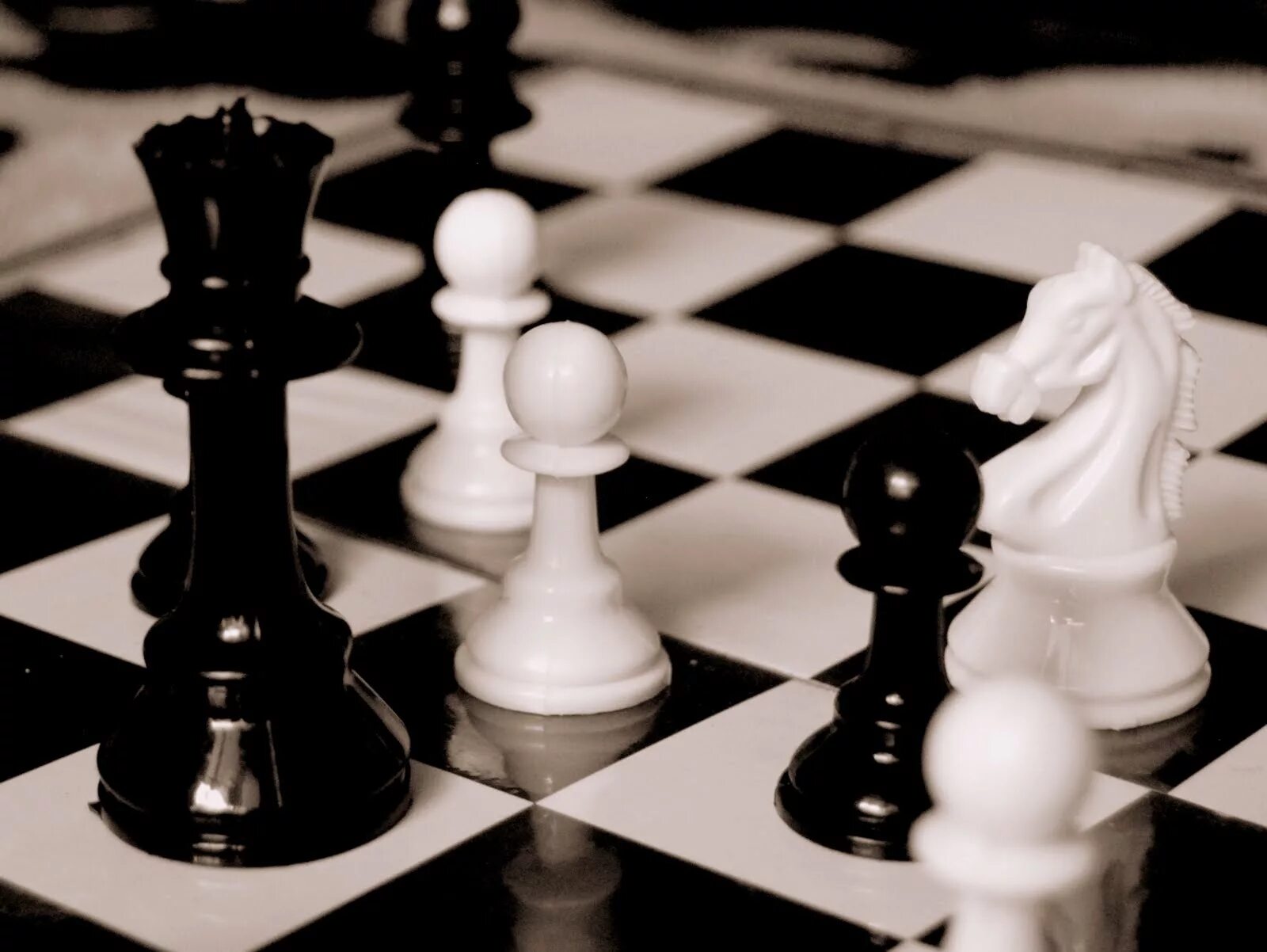 White chess