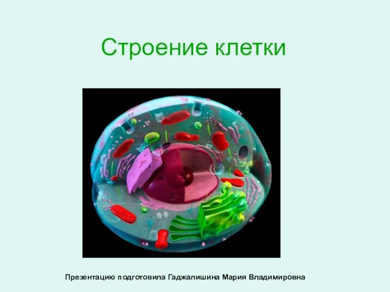 Клетка и ее строение презентация. Строение клетки презентация. мир клетки строение. строение клетки проект. клетка реферат.