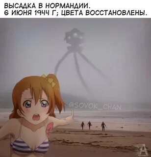 Видео с мирой