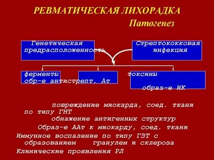 Патогенез острой ревматической лихорадки