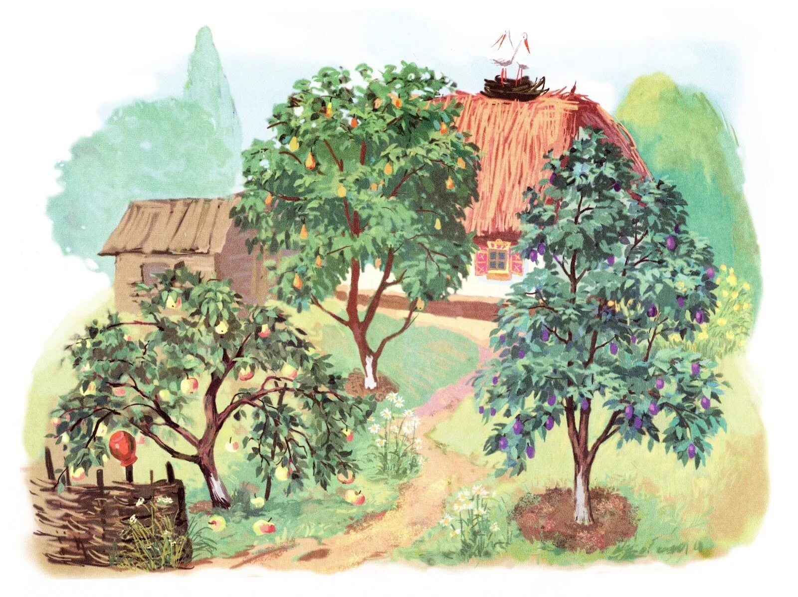 Сад с фруктовыми деревьями для детей. Картина фруктовый сад для детей. Фруктовые деревья для дошкольников. Изображение фруктового сада для детей.