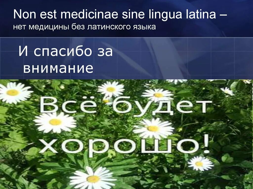 Латинские медицинские выражения. Non est medicina sine lingua latina. Нет пути в медицине без латинского языка. Non est medicina sine lingua latina. Спасибо за внимание италия.
