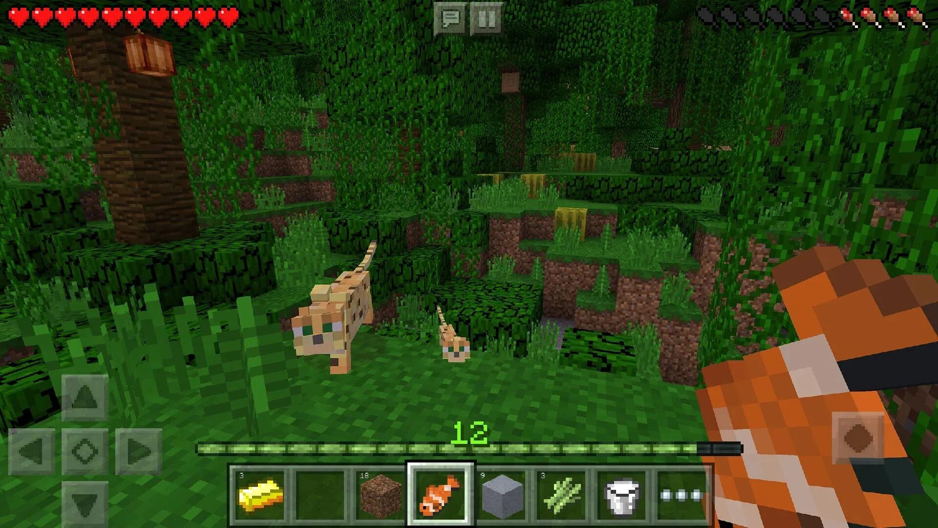 Майнкрафт последнюю версию на планшет. Майн pocket edition 1.1. майнкрафт покет эдишн. игры minecraft игры minecraft игры minecraft игры minecraft игры minecraft. самая новая версия майнкрафта.