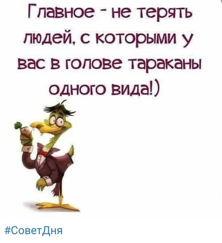 Цитаты про компанию. Смешные цитаты про друзей. прикольные фразы про друзей. цитаты про веселых людей. афоризм про друзей с юмором.