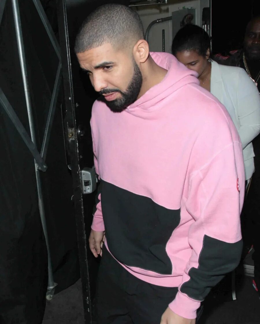 Дом дрейка. Дрейк лысый. drake лысый. дом дрейка внутри.