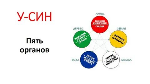 Система 5 элемент