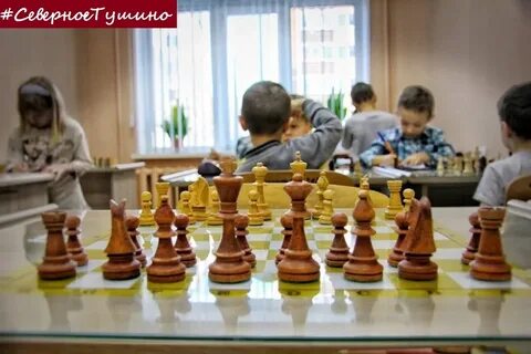 Шахматный клуб краснодар