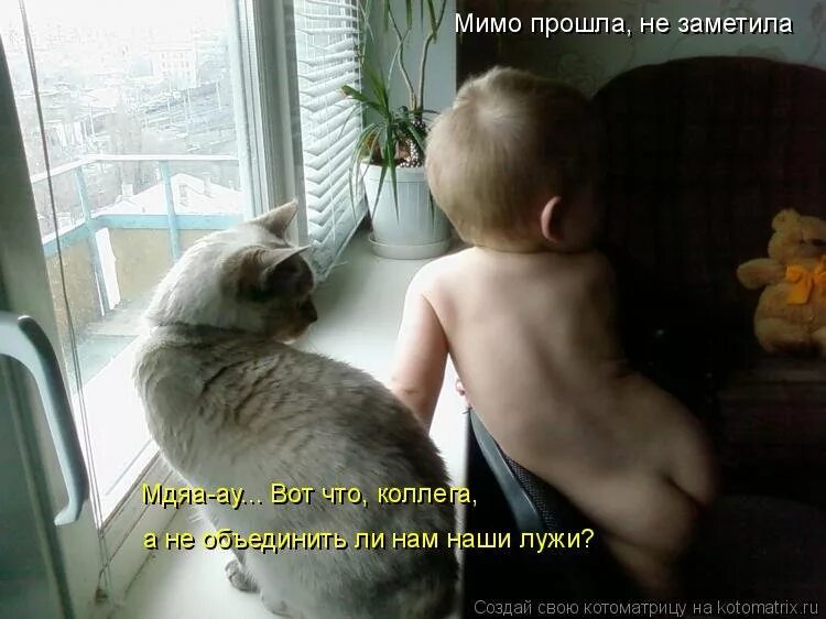 Мимо дома. Прошел мимо шутки. жизнь прошла мимо картинки. ты прошла мимо. проходи мимо.