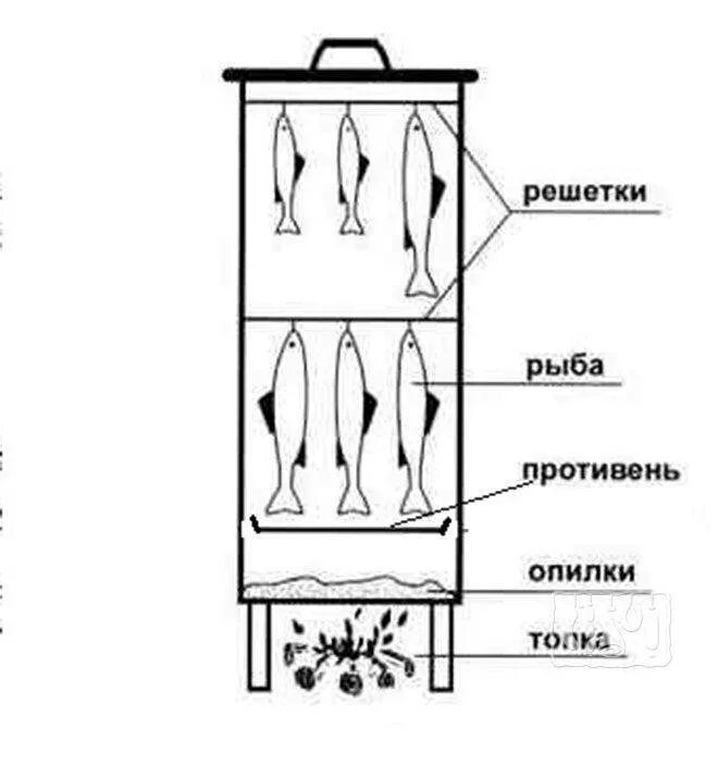 Чертеж камеры коптильной холодного. Коптильня горячего копчения схема с размерами. Конструкция коптильни горячего копчения. Чертежи коптилен горячего копчения. Схема коптильни холодного копчения