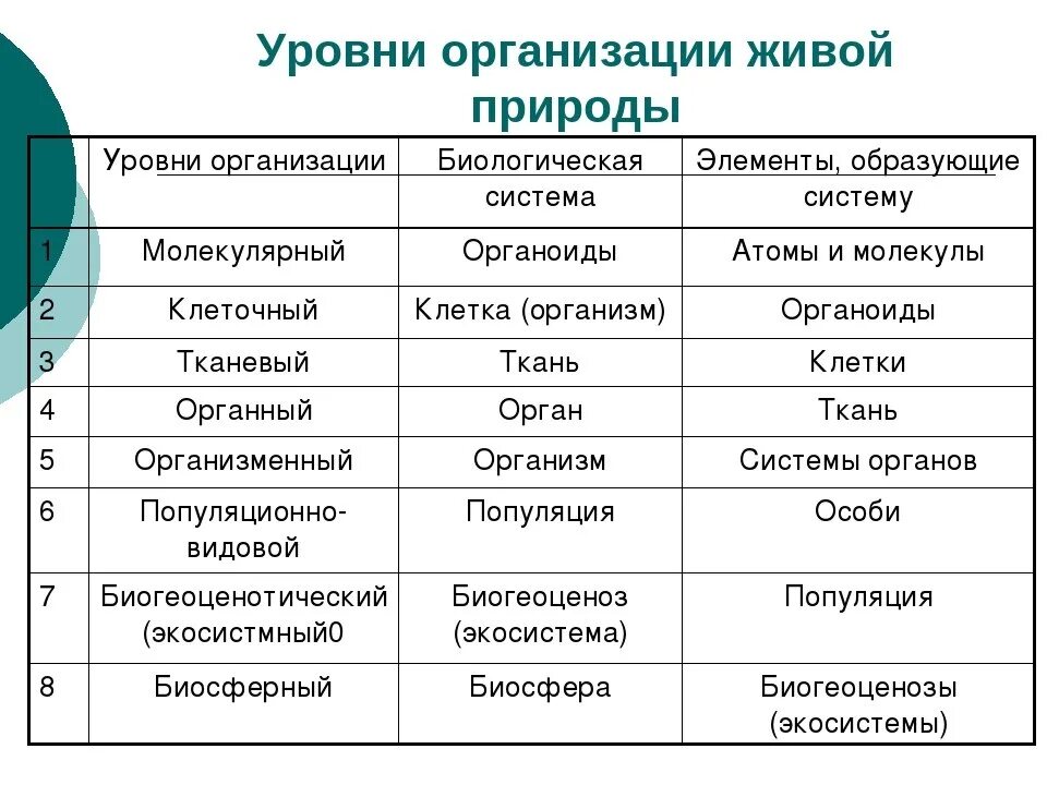 Уровень организмов жизни