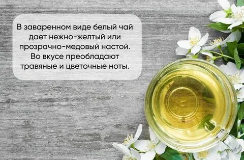 Чем полезен белый