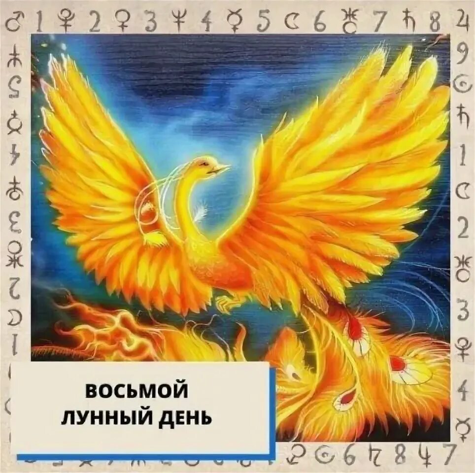 16.08 лунный день. 16.08 лунный день