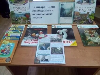 День заповедников название мероприятия в библиотеке
