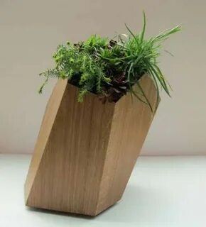 Other plant