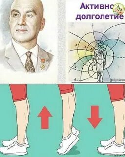 Активное долголетие микулина книги читать