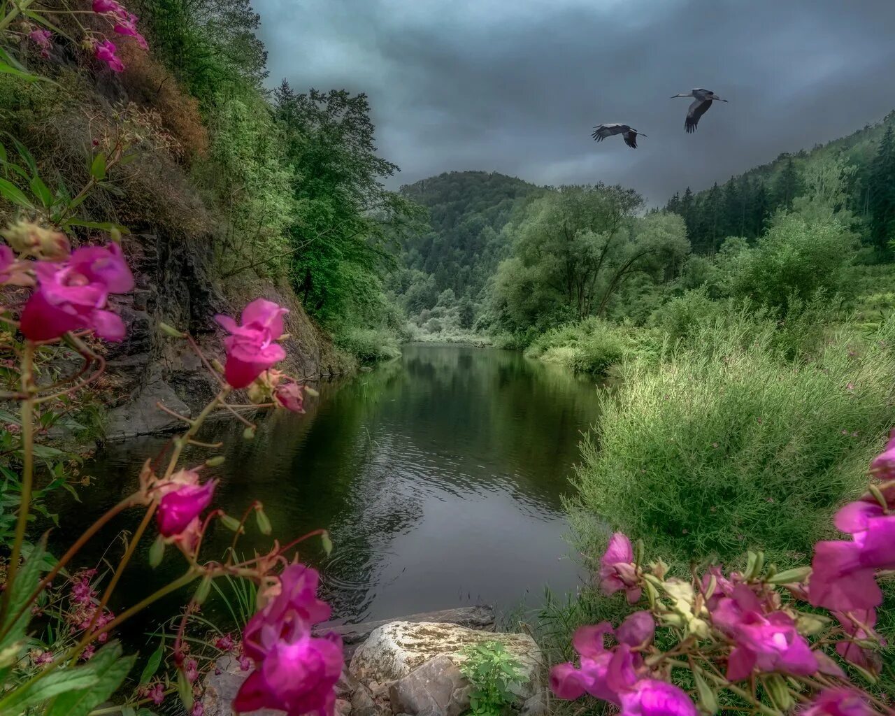 Озеро цветы. Природа река цветы. Райская природа. Природа цветы горы вода.