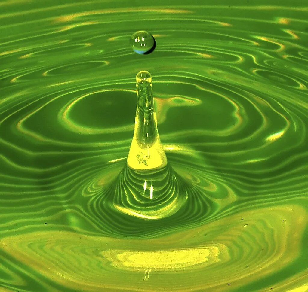 Нахимовское озеро синезеленые водоросли. Зеленая капля воды. Хламидомонада цветение воды. Почему вода зеленого цвета. Почему вода зеленого цвета.