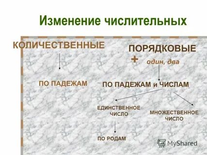 Как изменяется числительное