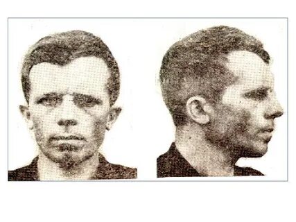 Внешность криминалистика