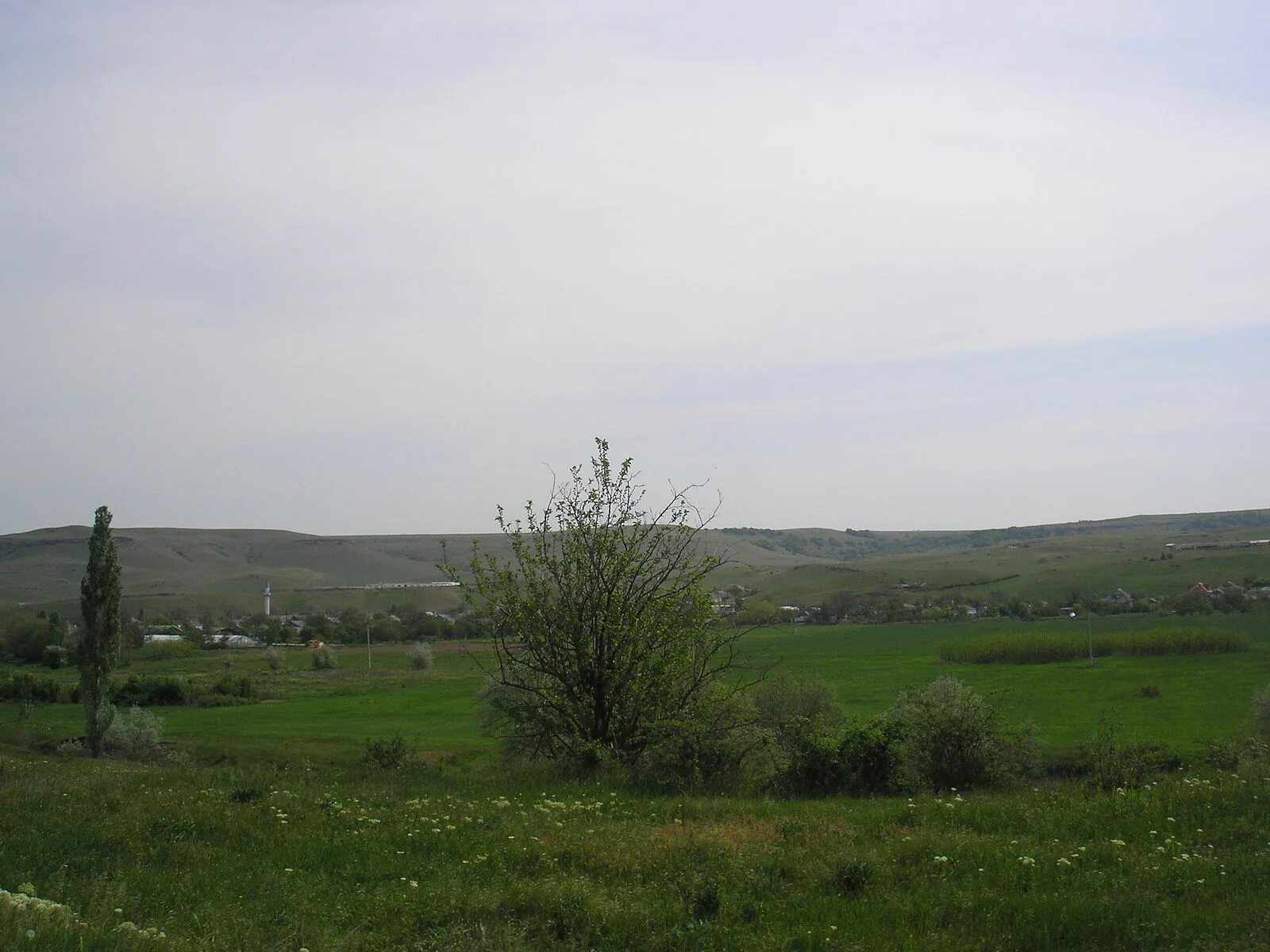 Село Вишенное Белогорского района. Село Вишенное Белогорского района Крым. Мироновка (Белогорский район). Белогорск Крым Вишенное.