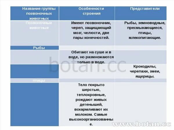 Таблица позвоночные животные 5