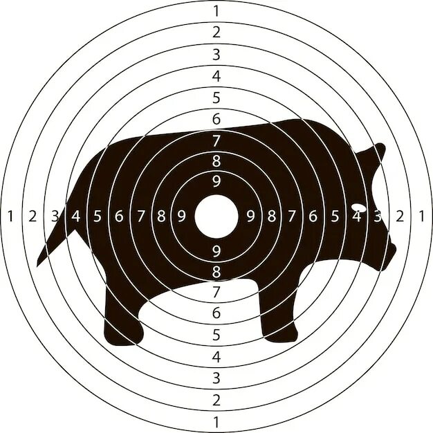 Pin by John Hartin on hat and t-shirt ideas Shooting targets, Paper shooting tar