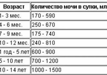 Объем мочи у взрослого человека
