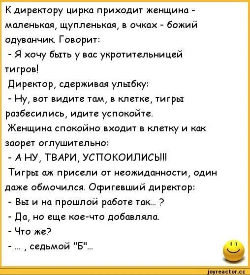 Девушка рассказывает анекдоты. Анекдоты и шутки про тигров. Анекдот про тигра. Анекдоты про год тигра. Анекдоты про тигров.