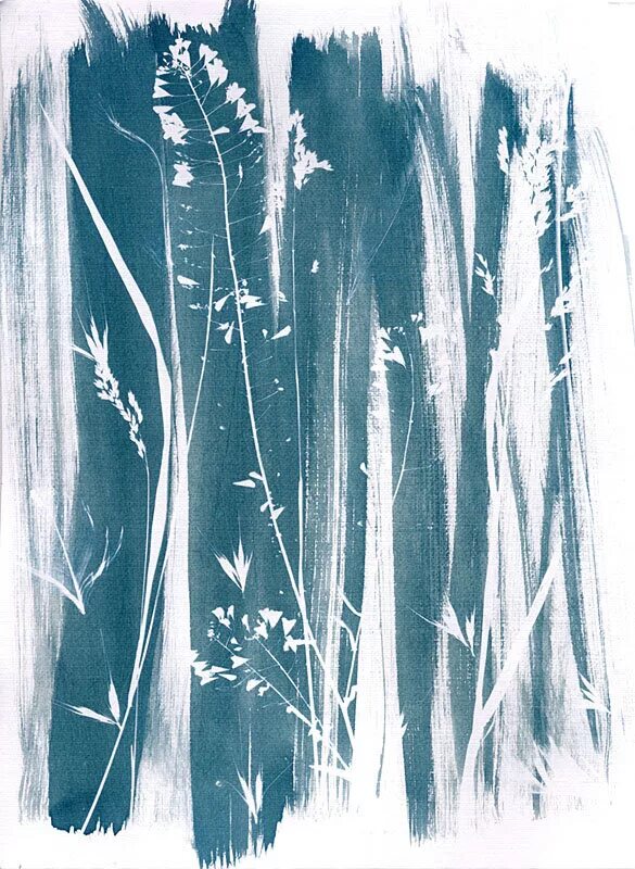 Цианотипия на ткани. Цианотипия боттичелли. Цианотипия портрет. Техника цианотипия. Цианотипия это.