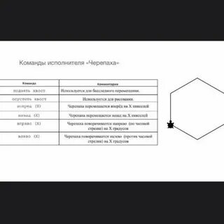 Исполнитель черепаха действует